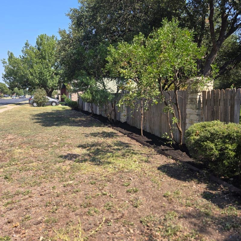 Project Georgetown Yard Transformation with Expert Cleanup image