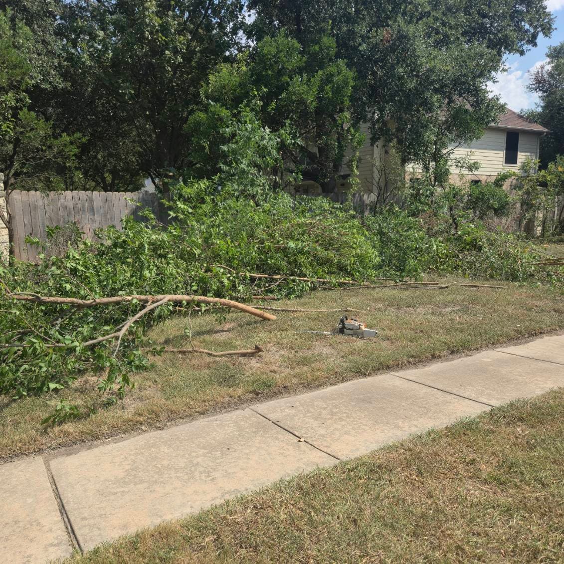 Gallery photos for Georgetown Yard Transformation with Expert Cleanup: Image #2