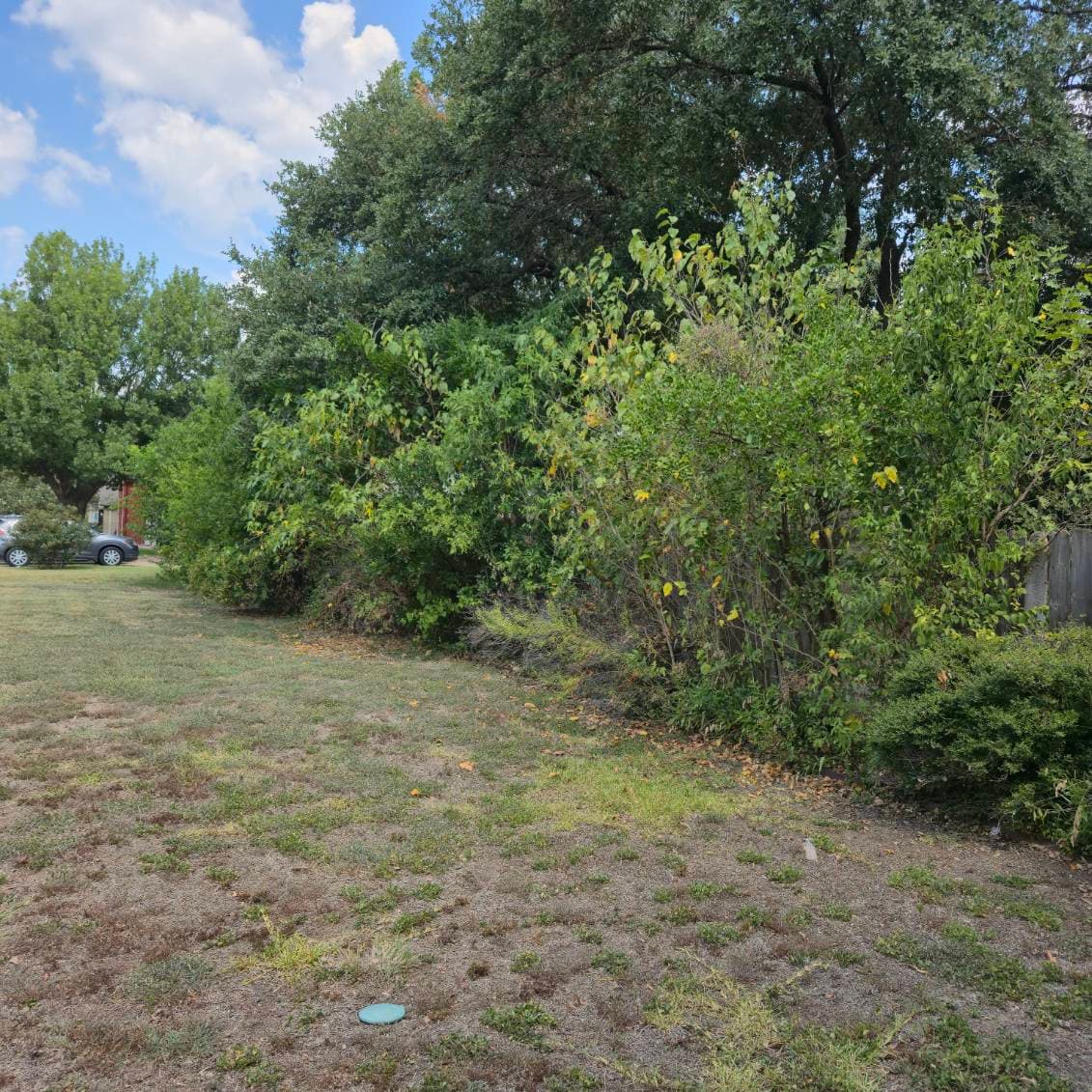 Gallery photos for Georgetown Yard Transformation with Expert Cleanup: Image #3