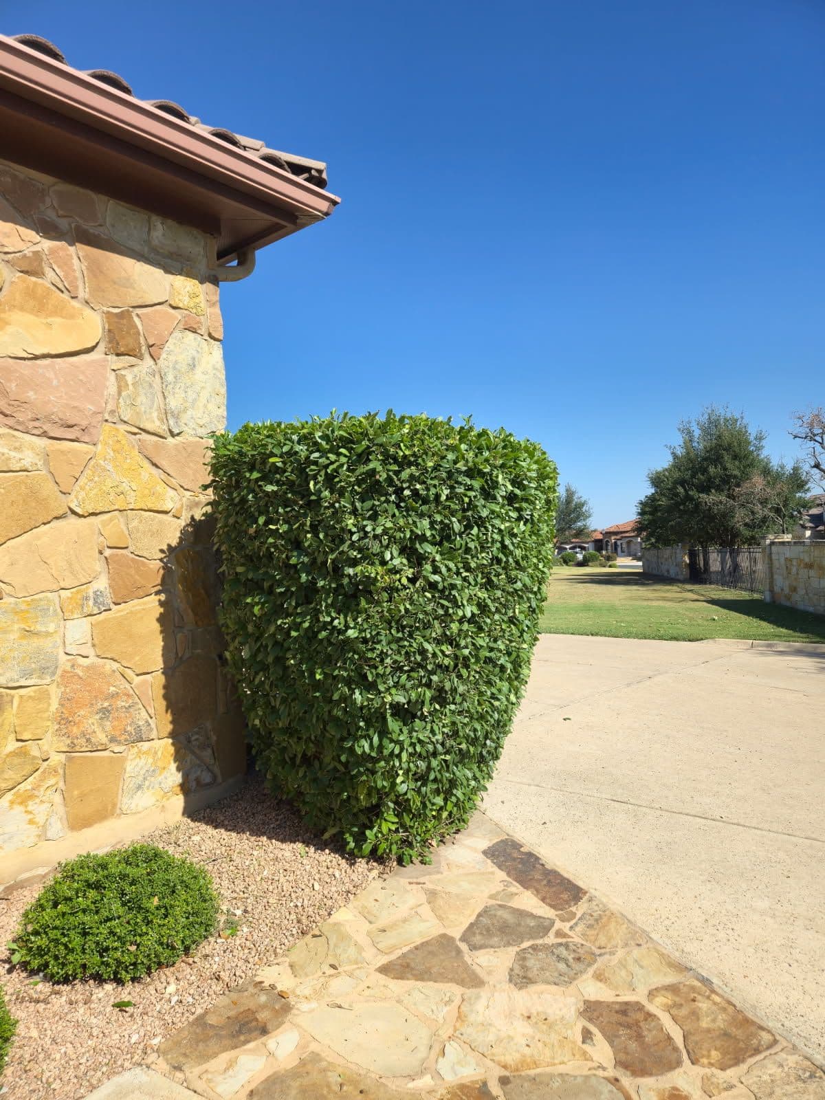 Gallery photos for Stunning Shrub Trimming in Liberty Hill: Image #1