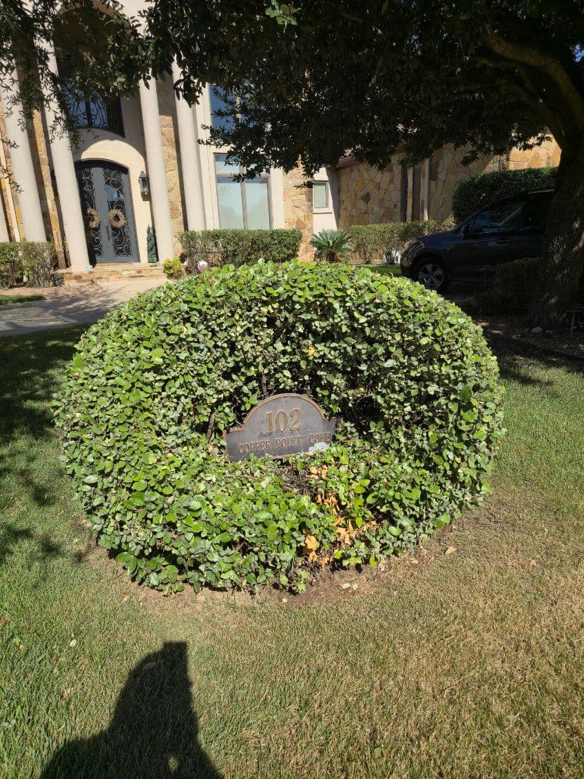 Gallery photos for Stunning Shrub Trimming in Liberty Hill: Image #2