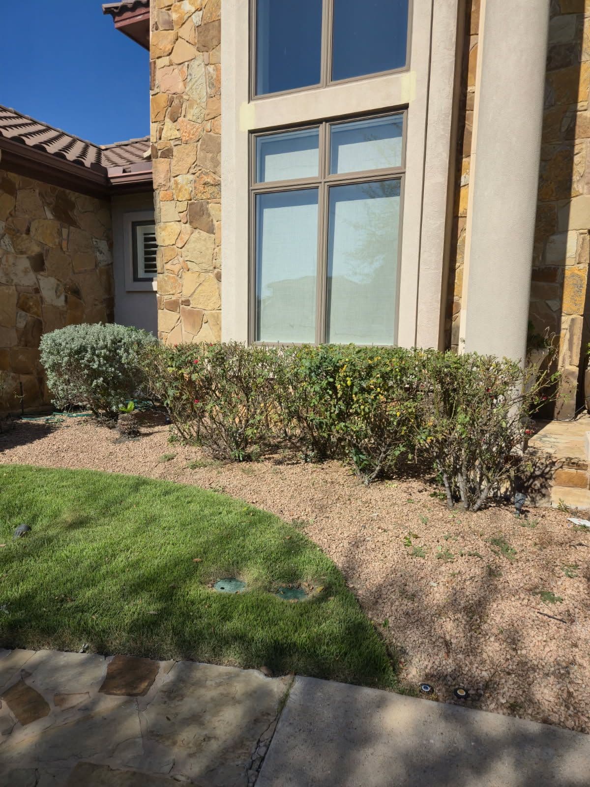 Elevate Your Home's Look with Expert Shrub Trimming in Georgetown image
