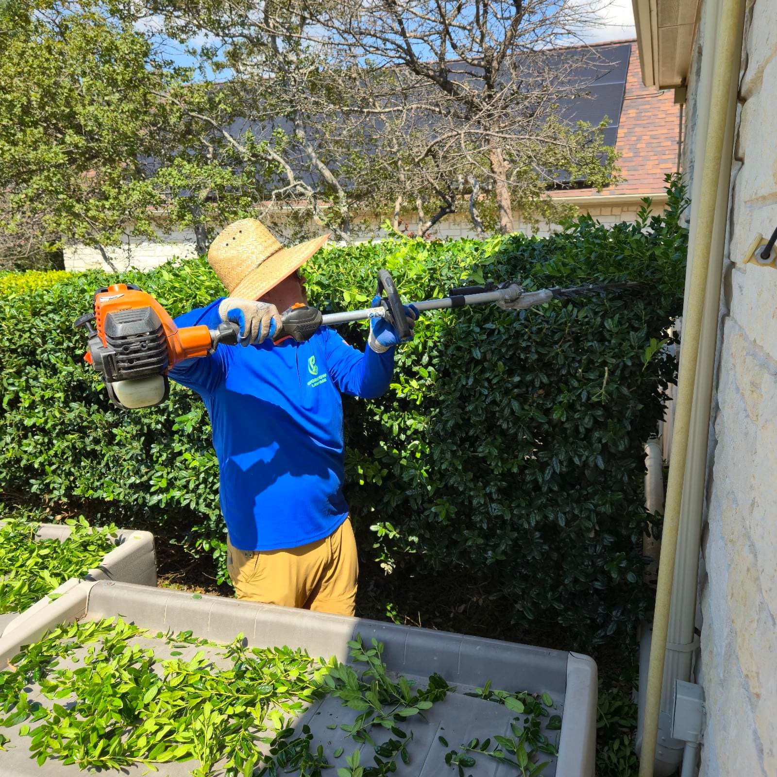 Project Precision Shrub Trimming in Georgetown, TX image