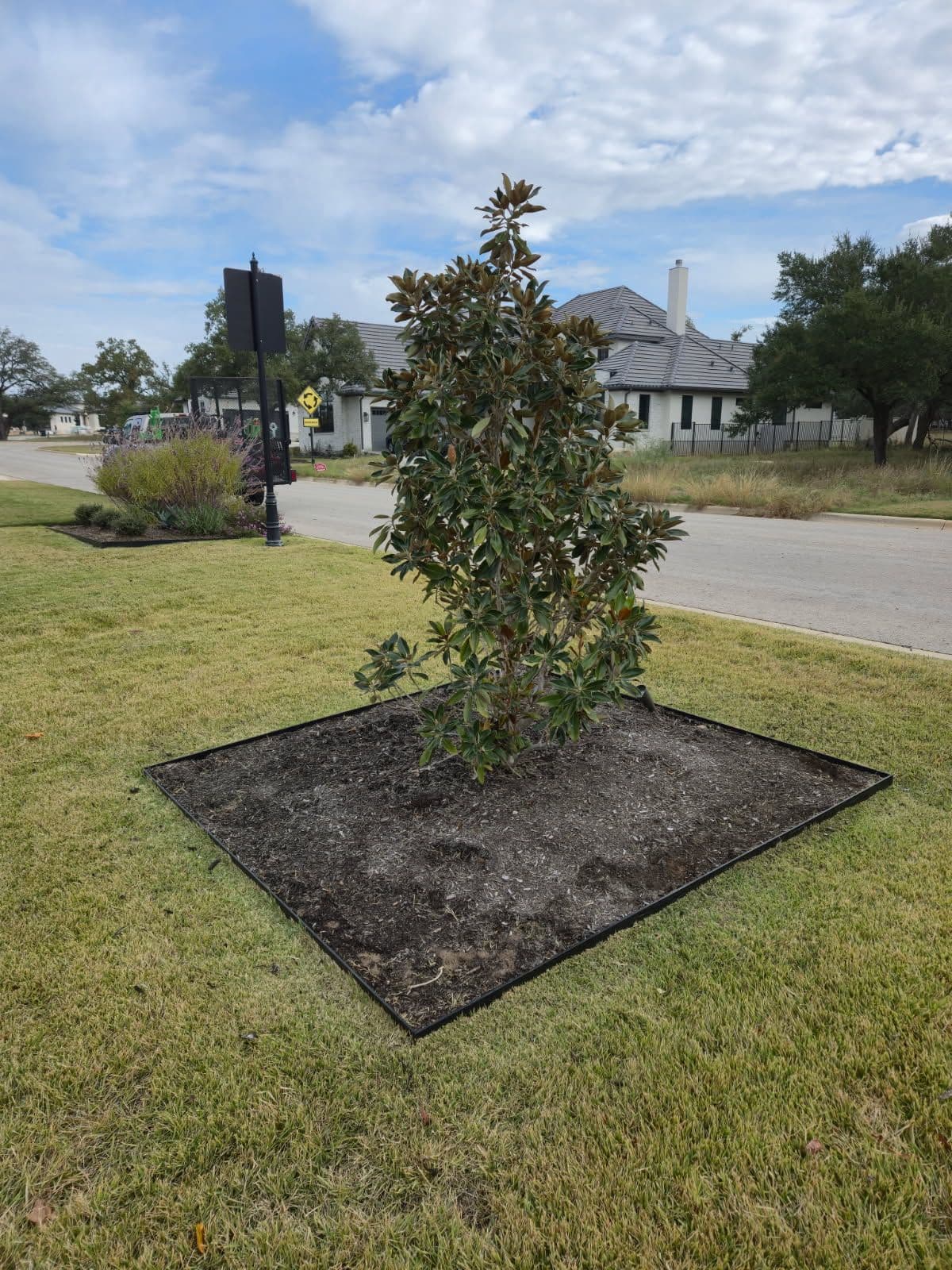 Showcase of Vibrant Mulch Transformation in Cimarron Hills image
