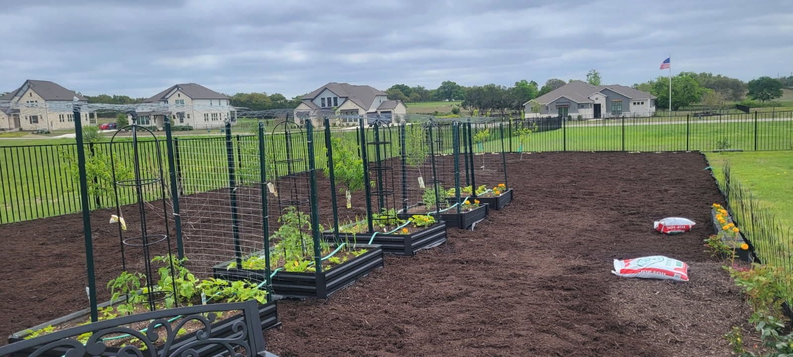 Transform Your Vegetable Garden in Liberty Hill image