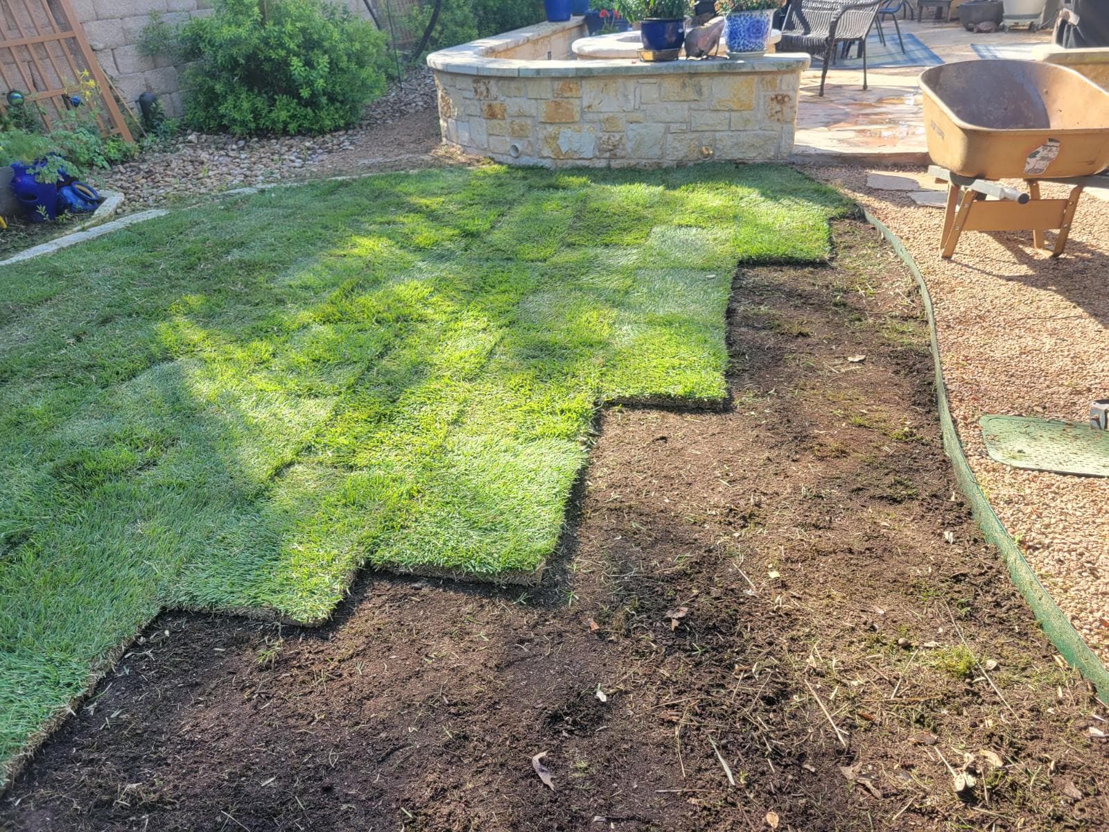 Transform Your Lawn with Zoysia Palisades Sod image