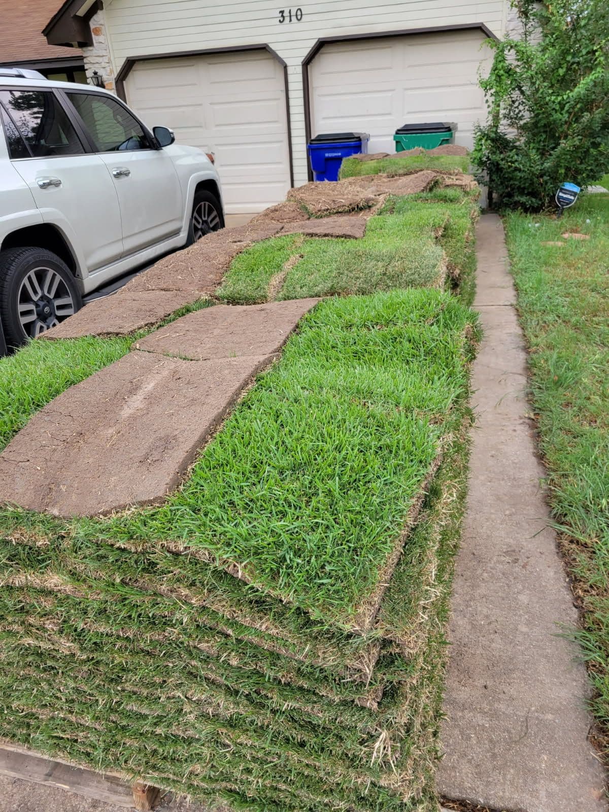 Gallery photos for Transform Your Lawn with Zoysia Palisades Sod: Image #1