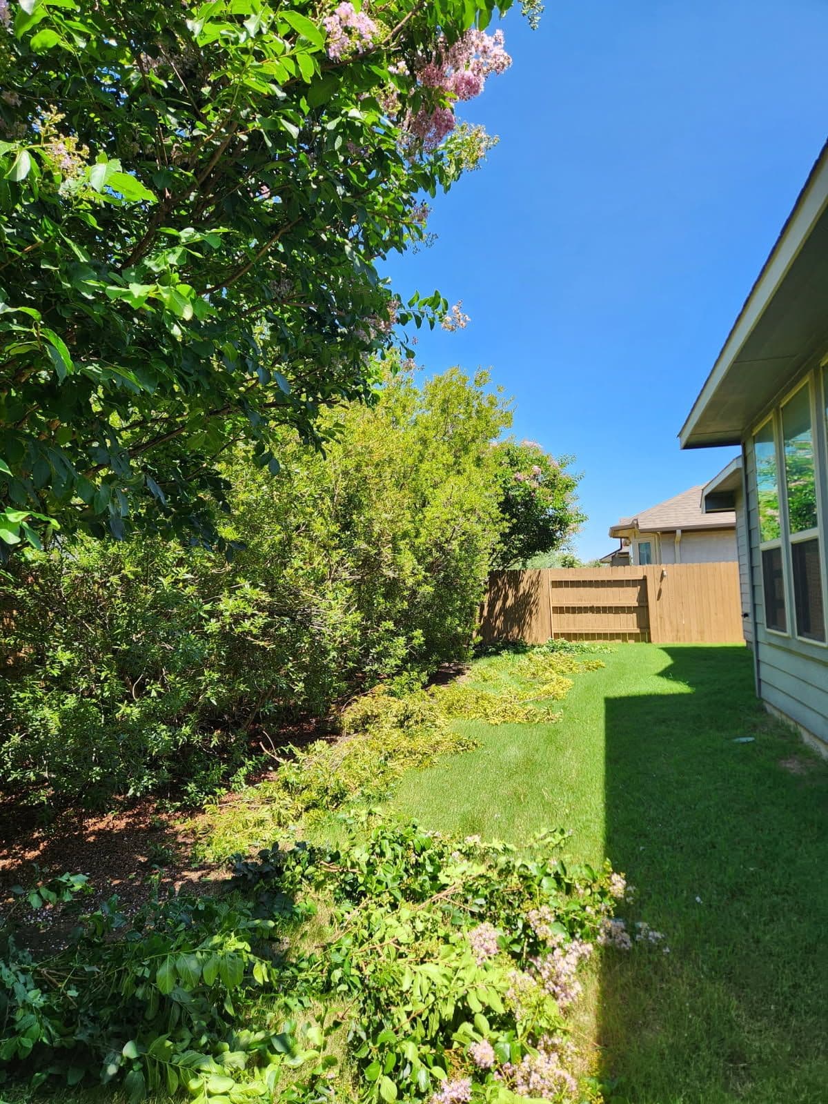 Transform Your Backyard Sanctuary Today image