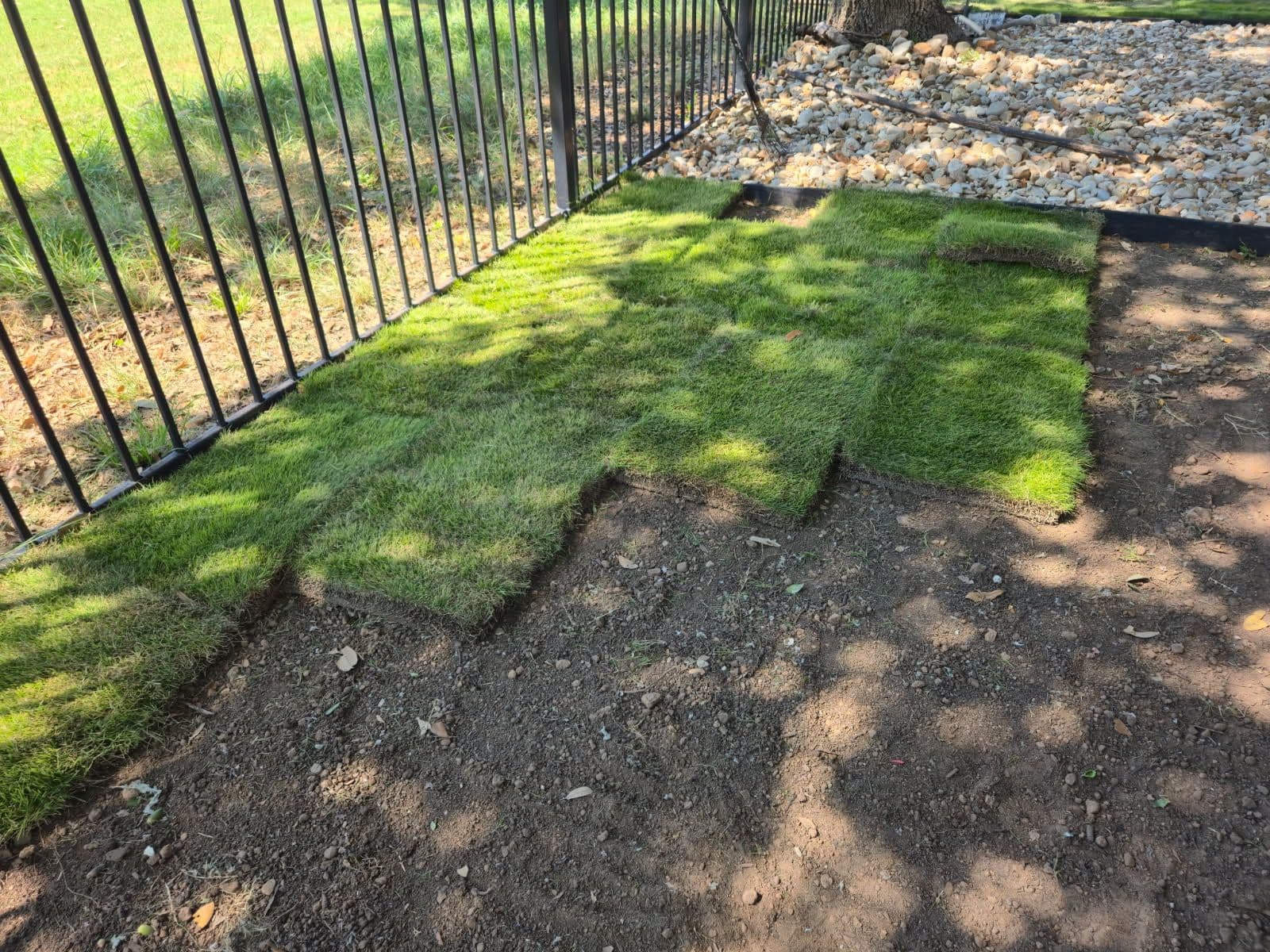 Gallery photos for Bringing Verdant Life to Liberty Hill Yards: Image #2