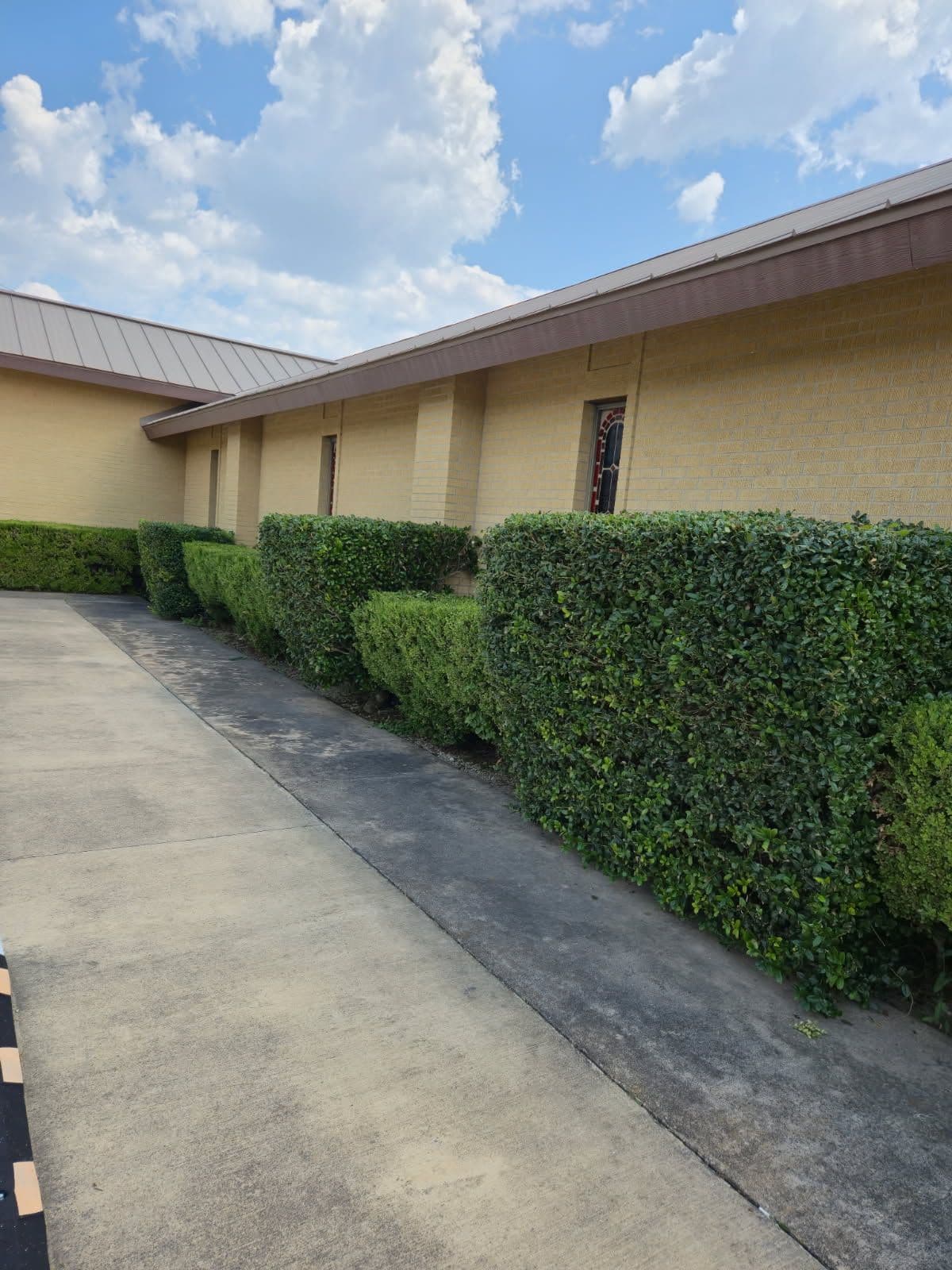 Expert Shrub Trimming in Liberty Hill TX image