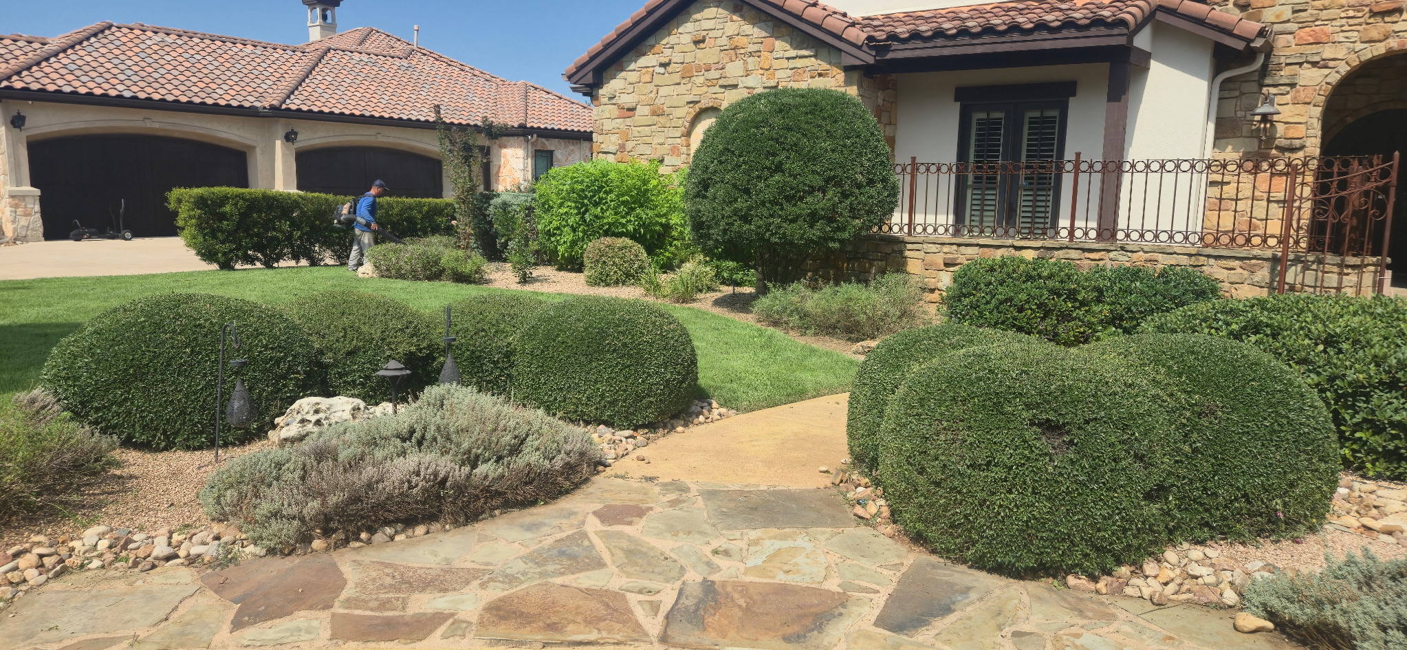 Trimmed hedges and shrubs at a Cimarron Hills home