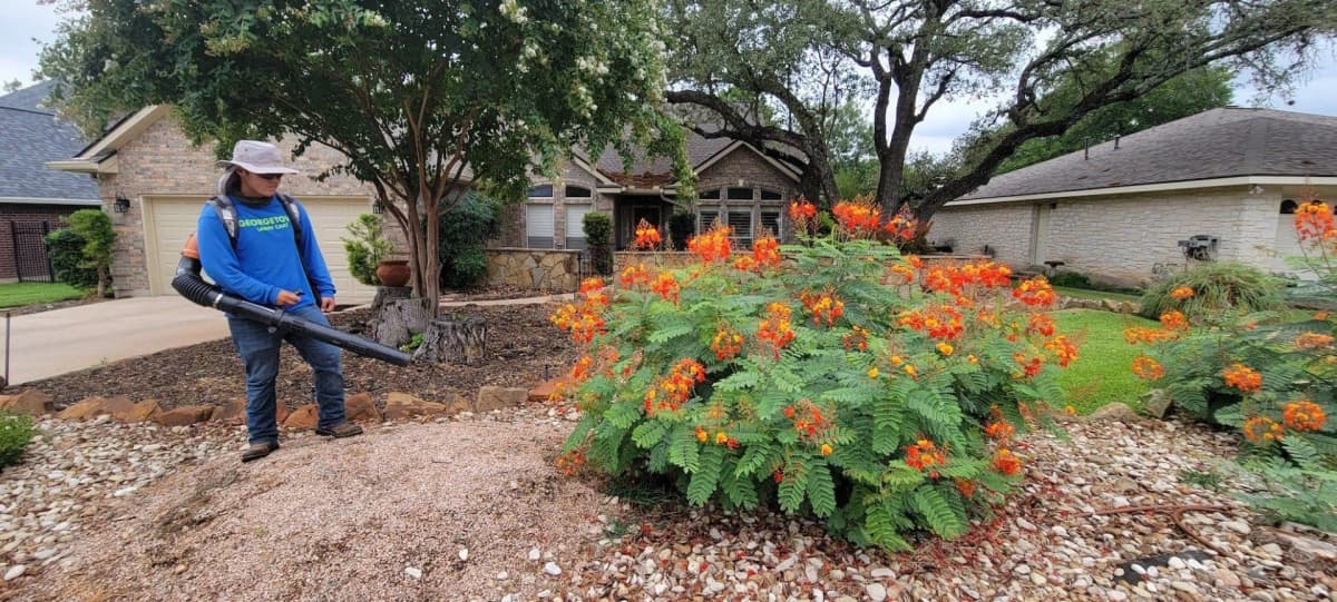Georgetown Lawn Care team member working in a residential landscape